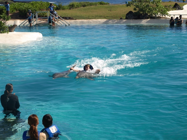 [ sealifepark06 ]
