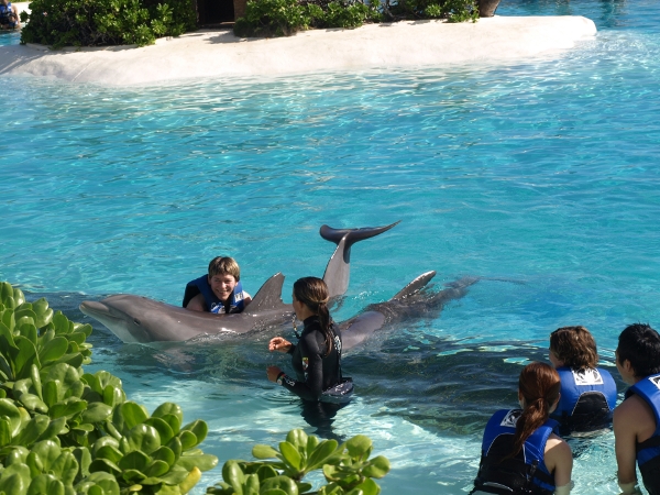 [ sealifepark07 ]