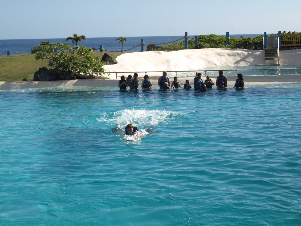 [ sealifepark09 ]